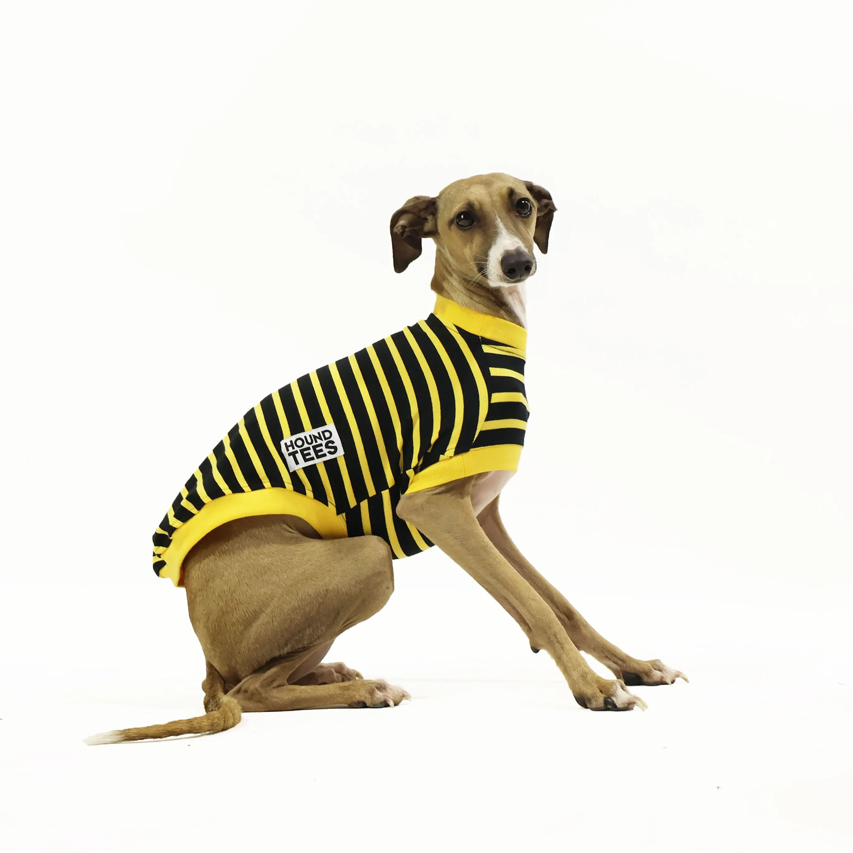 Bumble Italian Greyhound Sleeveless T-Shirt