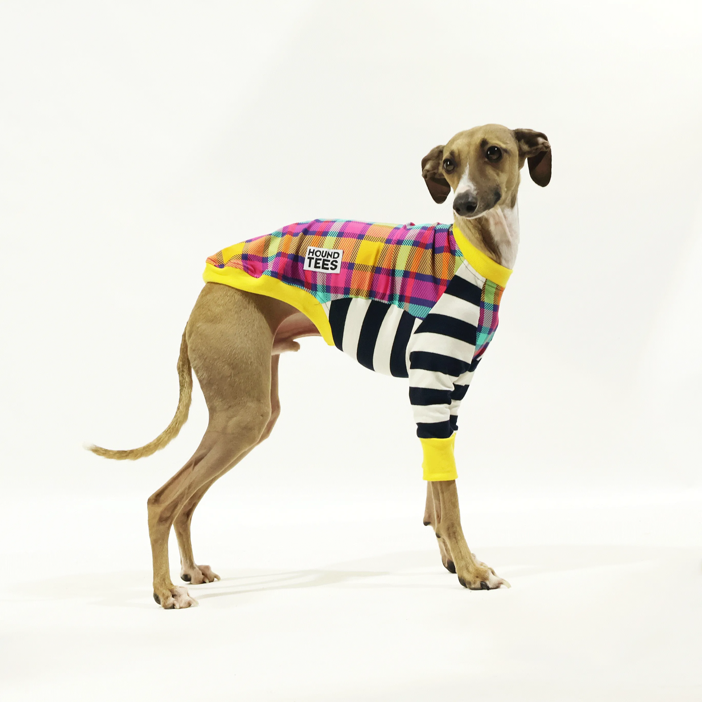 Clueless Iggy Long Sleeve Hound-Tee