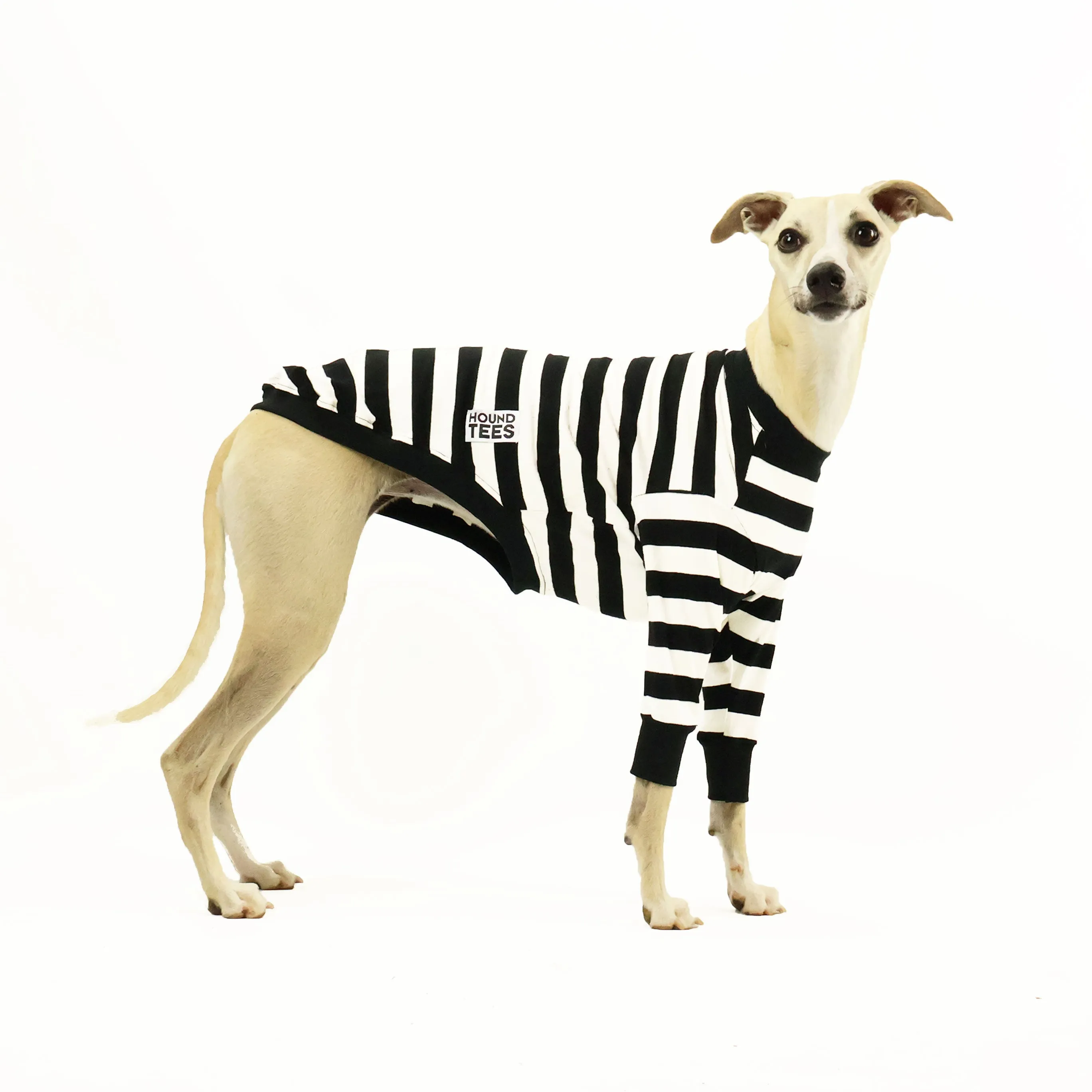 Jailbreak Whippet Long Sleeve Hound-Tee