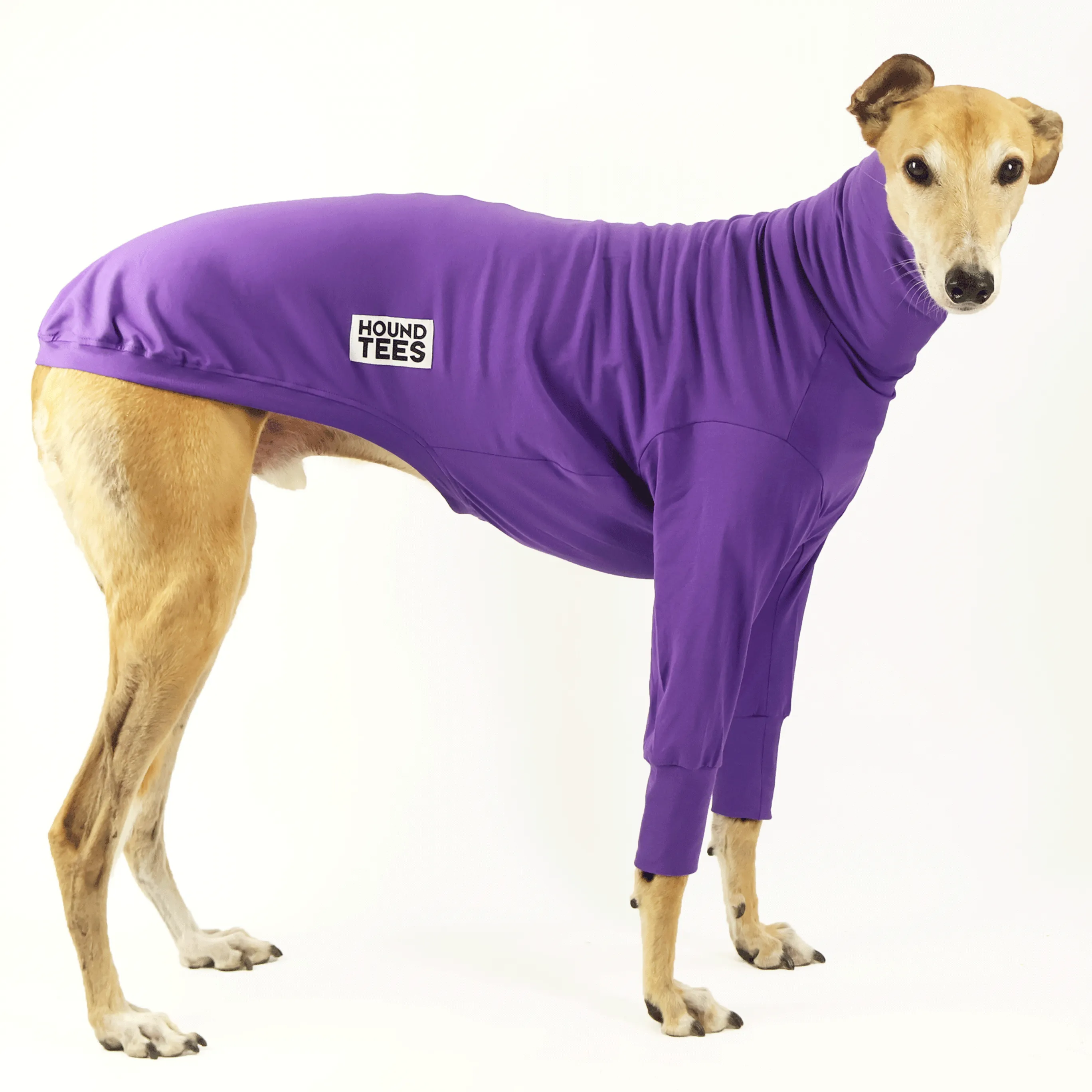 Royal Roach Greyhound Long Sleeve Base Layer