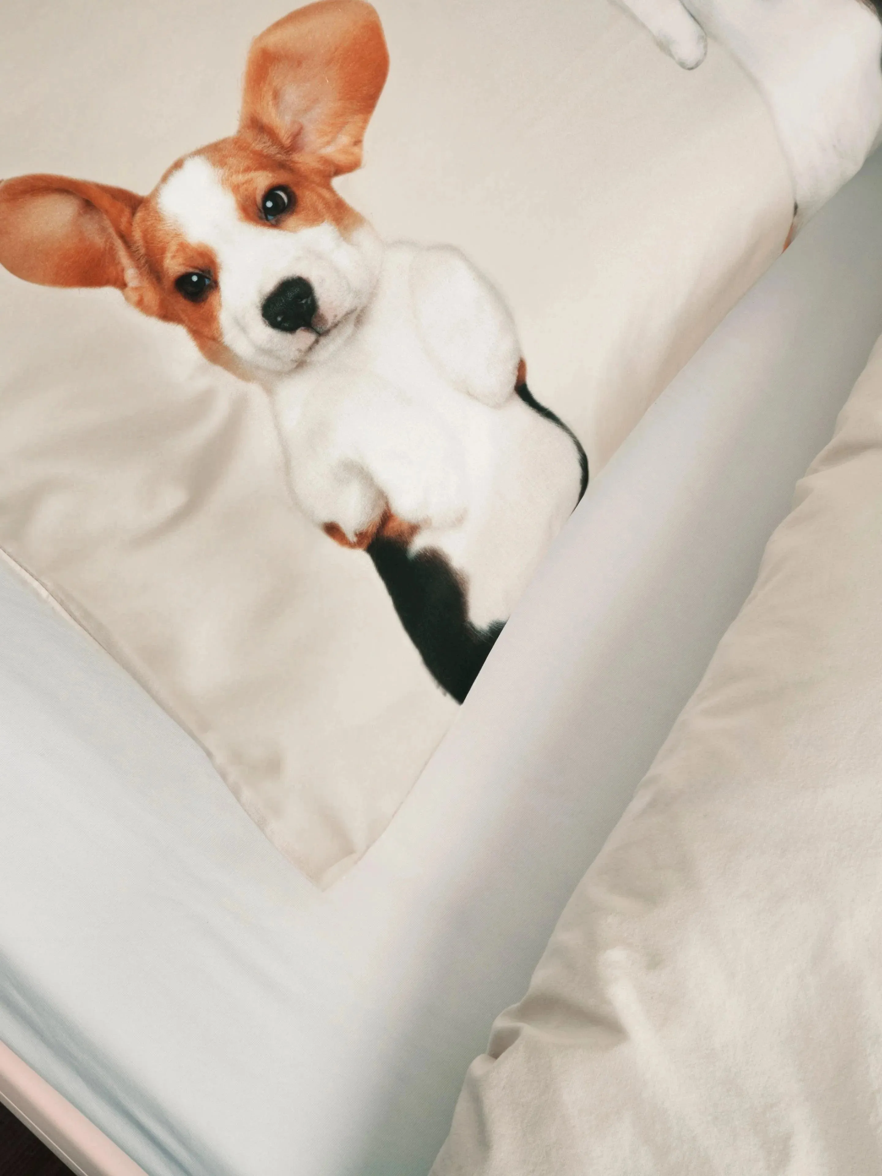 Snurk Kids Duvet Cover Beagle Friends